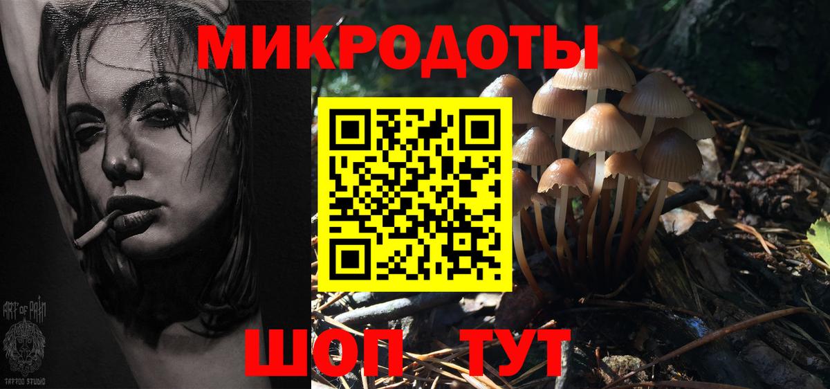 Галлюциногенные грибы Psilocybe Зеленодольск