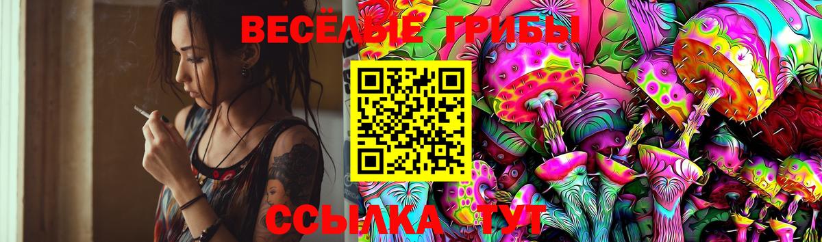Зеленодольск  Псилоцибиновые грибы MAGIC MUSHROOMS  Вход с VPN 
